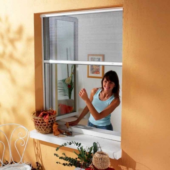 Mosquiteras Enrollables Ventanas Cabezal 39mm
