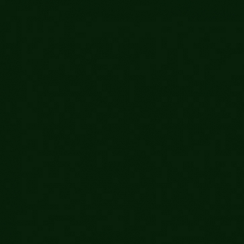 2 PERFILES Z VERDE 6009 1.98m