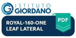 Certificado Europeo Mosquitera Plisada Royal 32