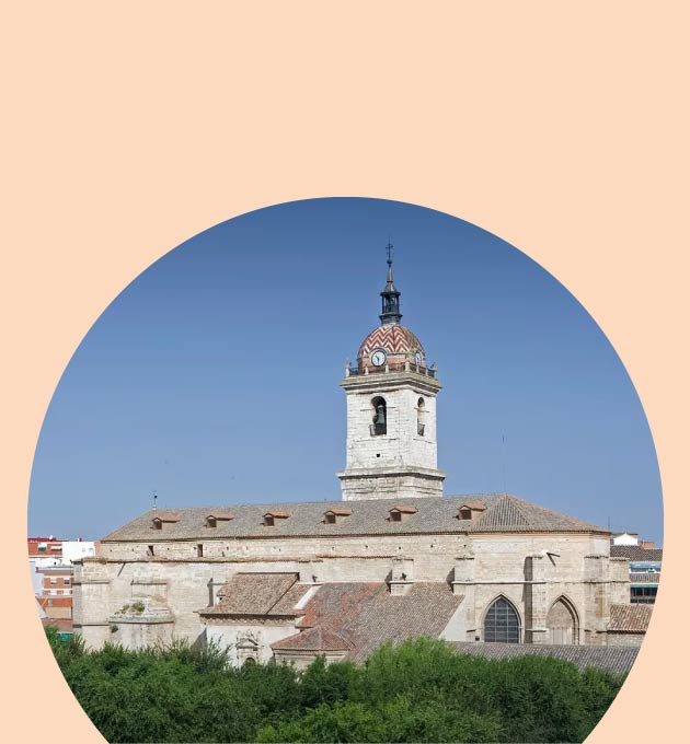 Mosquiteras en Ciudad Real