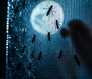 Silueta misteriosa al otro lado de una mosquitera, con insectos recortados sobre una luna azul