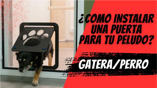 Cómo instalar una puerta gatera para tu gato en la mosquitera
