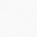 /img/co/4439.jpg