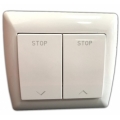 Motor interruptor
