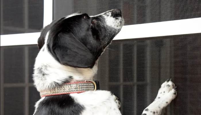 Rede mosquiteira com tela metálica especial para animais de estimação
