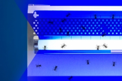 ¿Es efectivo en insectos la luz ultravioleta?